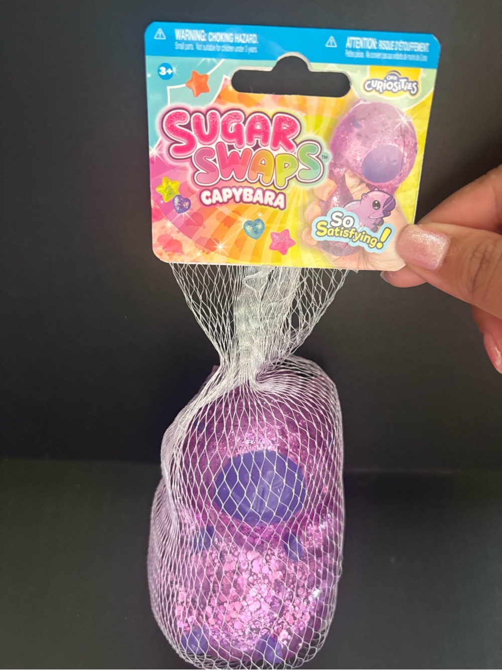 Capybara Kids Squishy Toy - Purple
